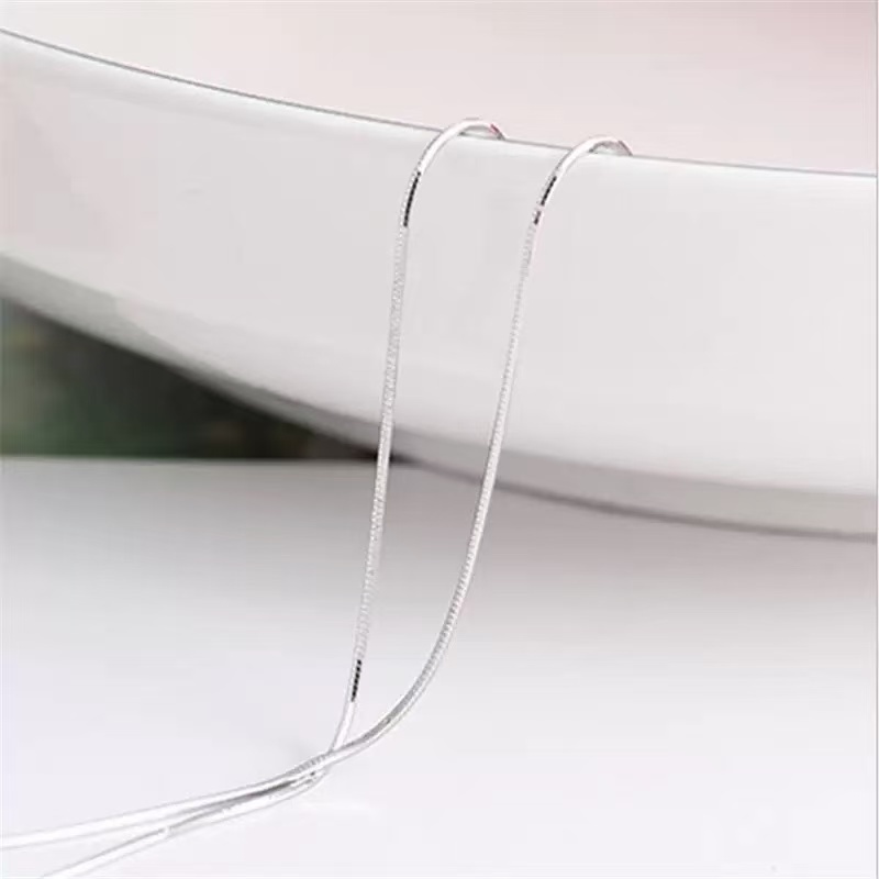 2pcs Anti-Allergy Silver Plated Snake Bone Chain Necklace Set